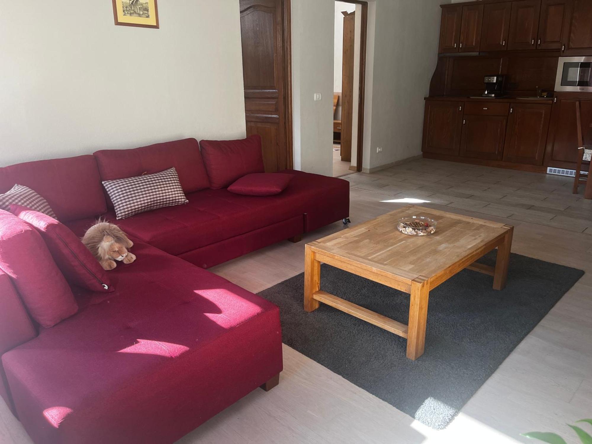 Cozy Apartment Braşov Buitenkant foto