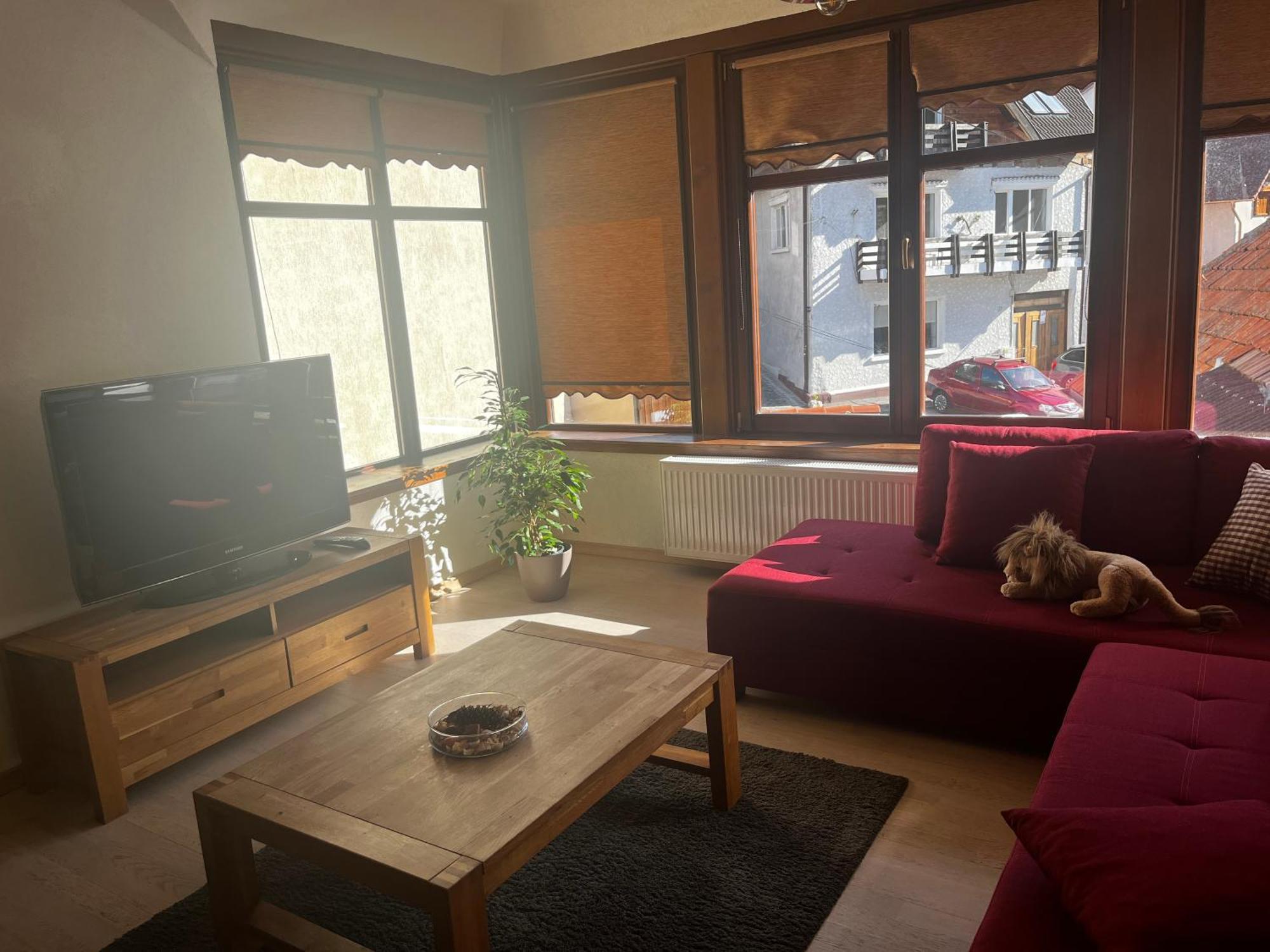 Cozy Apartment Braşov Buitenkant foto